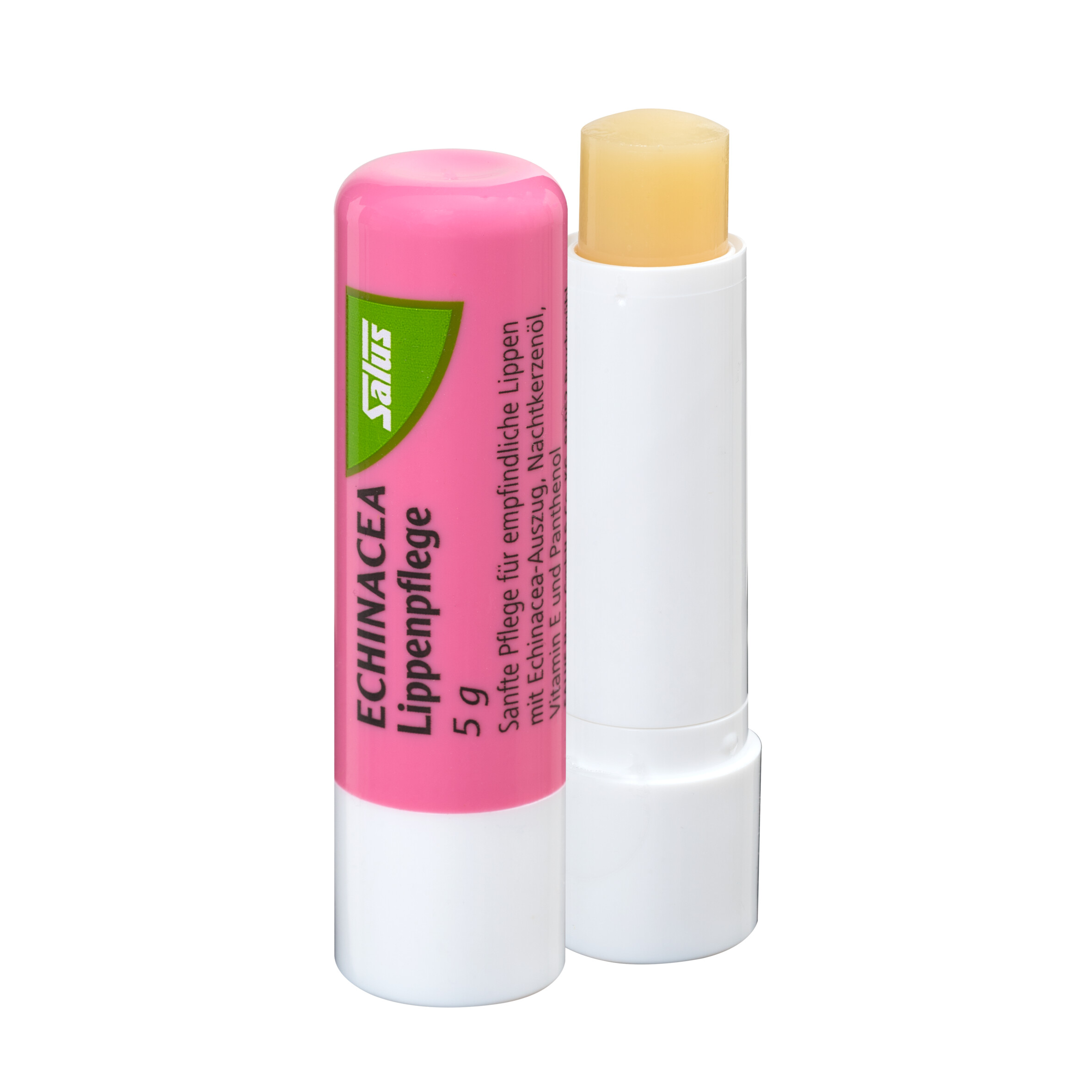 Lip Balm Echinacia